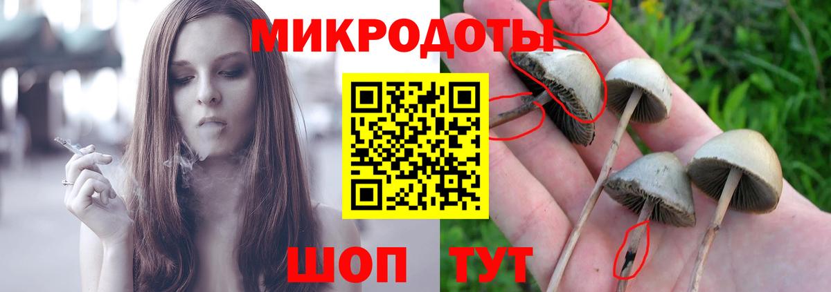 Каменск-Шахтинский  Псилоцибиновые грибы прущие грибы  Вход с VPN 